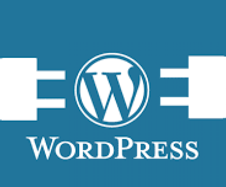 wordpress plugin